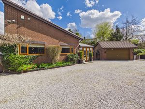 Photo 61- click for photo gallery